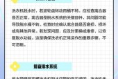 双桶洗衣机转盘漏水的修复方法（解决双桶洗衣机转盘漏水的实用技巧）