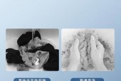 如何用懒人方法快速清洗洗衣机？有哪些步骤和技巧？