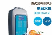 解决家用饮水机水坑问题的有效方法（保证水质与健康）