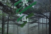 雾天拍摄风景照片技巧有哪些？