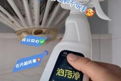 抽油烟机的清洗方法与技巧（轻松洁净）