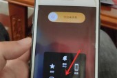 处理显示器小白点的方法（快速有效解决显示器小白点问题的关键技巧）