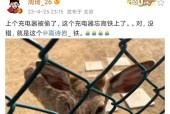发现充电器线被盗如何进行举报？