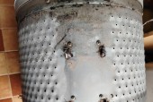 如何有效防止波轮洗衣机发霉（解决波轮洗衣机发霉问题的实用方法）