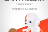 小狗充电器的正确使用方法是什么？