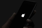 iPhone摄像头黑屏问题解决方法（探索iPhone摄像头出现黑屏的原因及解决方案）