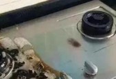 燃气灶炒菜时突然灭火是什么原因？如何快速解决？