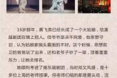 苹果手机设置剧本对话方法是什么？有何用途？