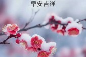 手机拍照如何实现雪花效果？雪花效果的拍摄技巧是什么？