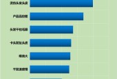 跑步机磁控管受损的修理方法（维修和更换磁控管的关键步骤）