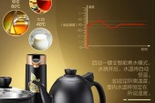 抽水式电热水壶不抽水怎么办？常见故障解析方法是什么？