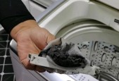 洗衣机怎么清洗啊？彻底清洁的步骤和技巧是什么？