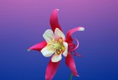 尽情个性化（以创意为灵感）