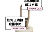 洗衣机自带排水管更换方法（简单易行的更换步骤）