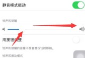 苹果电脑无声音问题的解决方法（探索苹果电脑无声音问题的原因及解决方案）