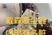 如何正确清洗戴森吸尘器滤网（简单易行的清洗方法让您的戴森吸尘器永葆清洁效能）