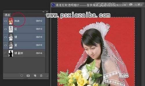 使用PS进行抠图换背景图的步骤（简单易懂的教程）  第1张