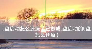 以U大师U盘启动盘制作工具教程（简单教你如何使用U大师制作U盘启动盘）  第1张