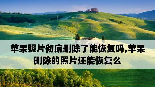 如何恢复已删除的照片（有效的方法帮助你找回珍贵的回忆）  第1张