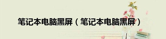 笔记本电脑突然黑屏，电源仍亮的原因及解决方法（探究笔记本电脑突然黑屏的可能原因与解决方案）  第1张