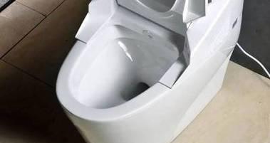 解决马桶不下水问题的有效方法（怎样清理马桶堵塞）  第2张