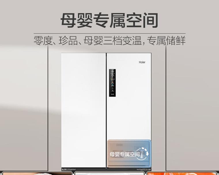 如何选择适合家用的卧式冰箱（以哪个品牌为首选）  第3张