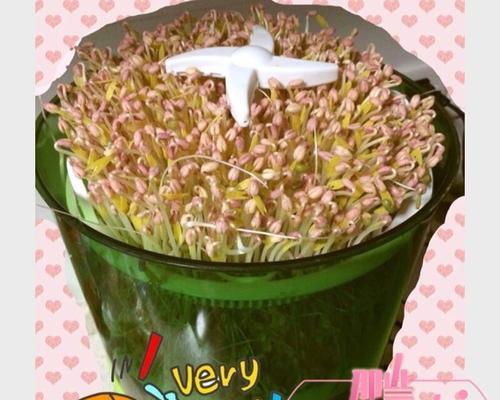 豆芽机报警频频响起？找出原因并解决！  第1张