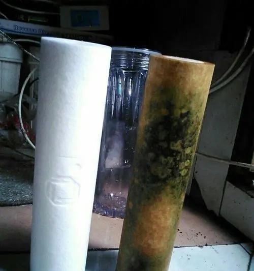 咖啡机水箱长青苔如何清理？有效去除方法是什么？  第2张