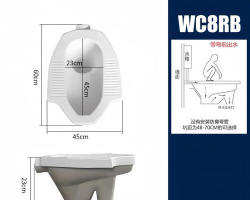  蹲厕与马桶的优劣对比分析？哪种更适合家庭使用？ 第2张
