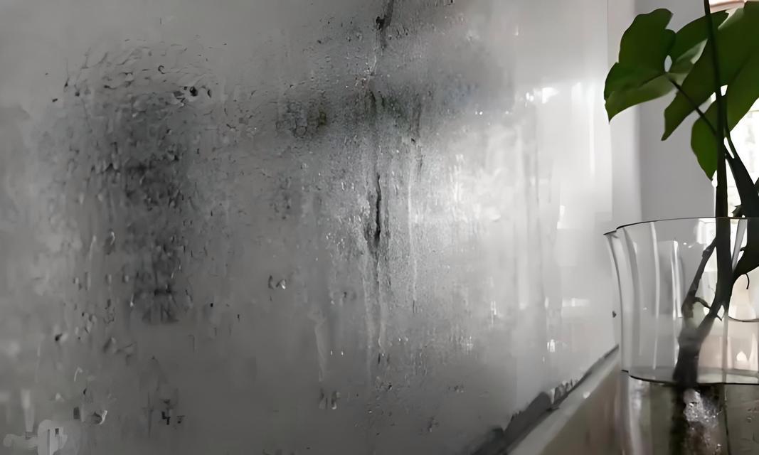 夏普电视黑屏了怎么办？如何快速解决黑屏问题？  第1张