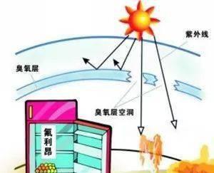 冰柜出现臭氧味该如何处理？有效去除方法是什么？  第2张