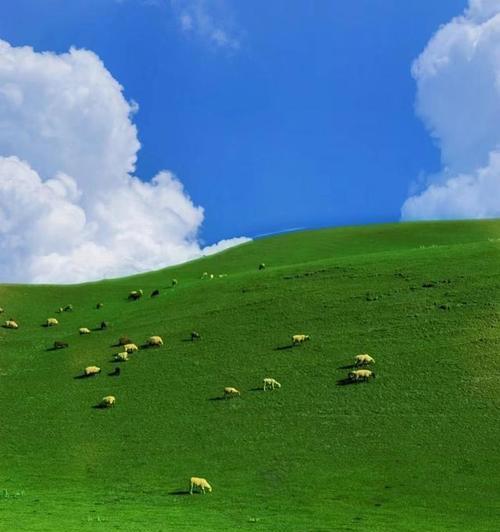 大草原拍照技巧有哪些？如何用手机捕捉美景？  第1张