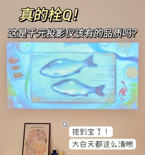 投影仪故障排查：知了未来不亮怎么办？  第1张