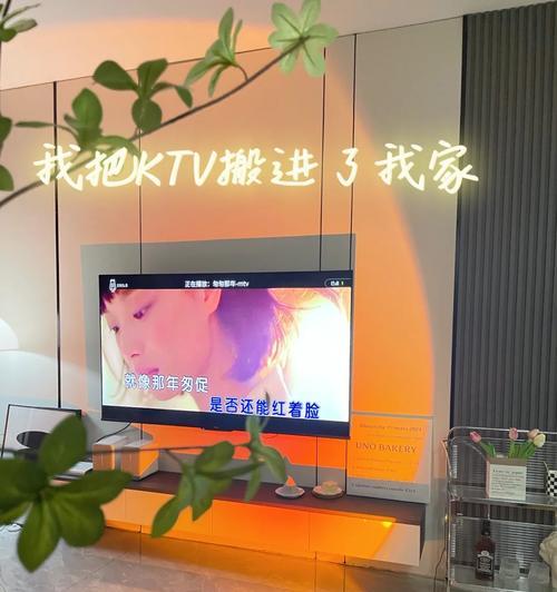 投影仪故障排查：知了未来不亮怎么办？  第2张