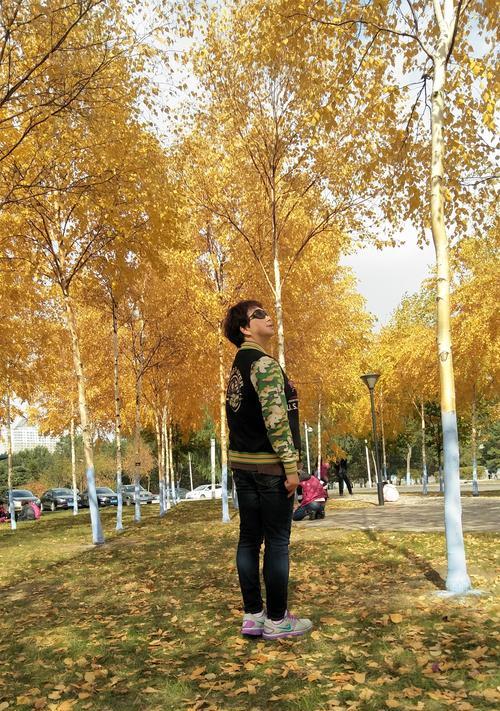 手机拍照后照片太平是什么原因？  第3张