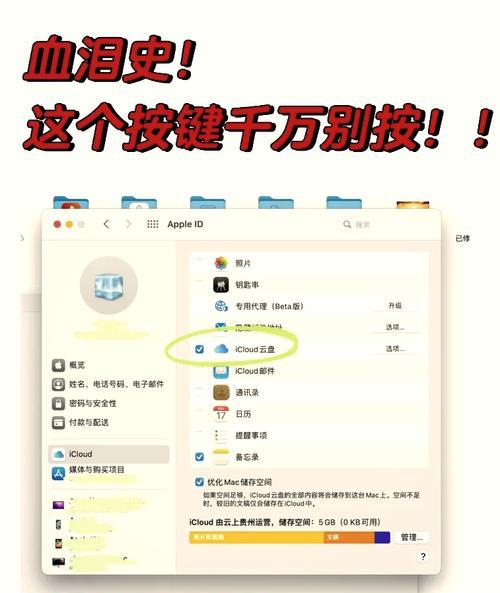 苹果笔记本清理内存的步骤是什么？如何提高运行速度？  第3张