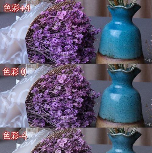 丰富色彩相机使用技巧是什么？  第2张