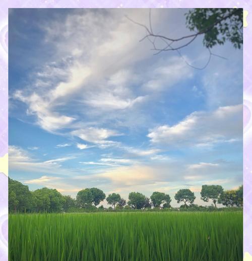 林地边摄像头手机拍照操作是什么？  第2张