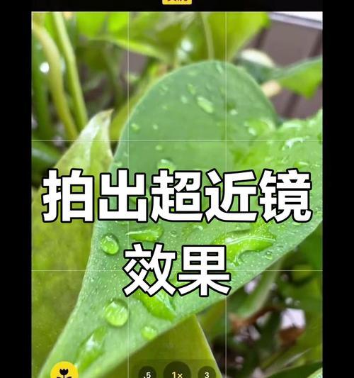 苹果手机如何拍摄分格照片？  第2张