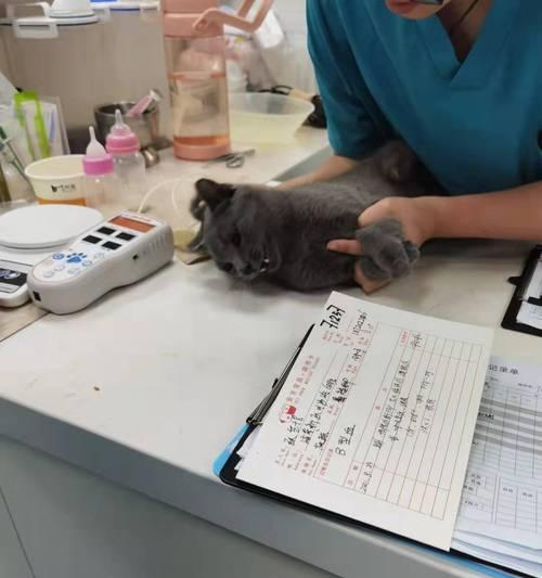 橘猫笔记本内存升级步骤是什么？  第2张