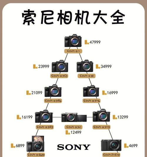 索尼相机丢失视频如何恢复？找回步骤是什么？  第3张