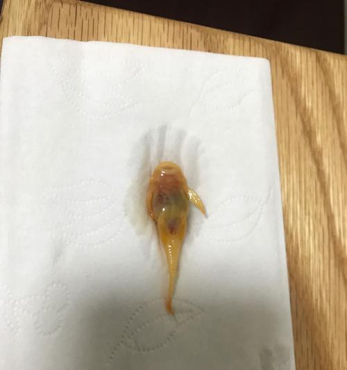 蓝牙耳机烧焦原因是什么？如何预防？  第3张