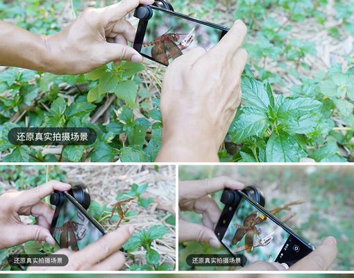相机微焦镜头开启方法是什么？操作中应注意什么？  第1张