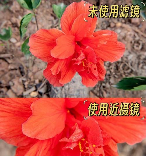 相机微焦镜头开启方法是什么？操作中应注意什么？  第3张