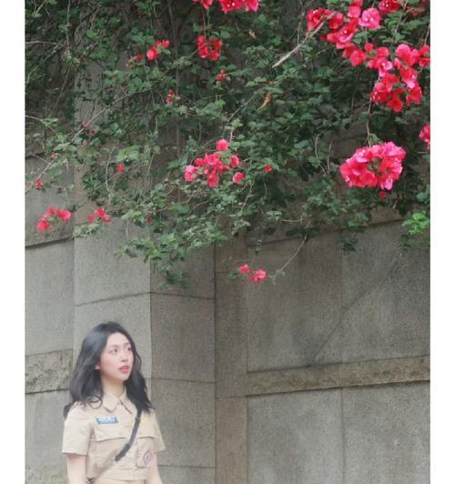 佳能相机拍摄花朵的技巧是什么？拍摄效果不佳时如何调整？  第1张