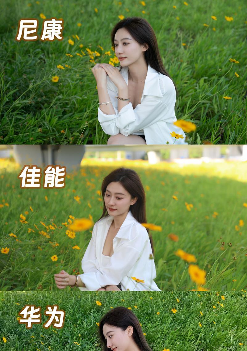 佳能相机拍摄花朵的技巧是什么？拍摄效果不佳时如何调整？  第2张