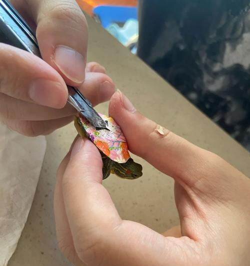 刮油漆手机壳清洗方法是什么？  第2张