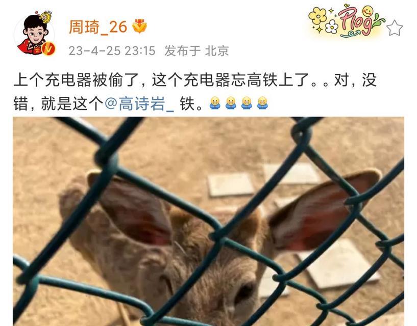 发现充电器线被盗如何进行举报？  第1张