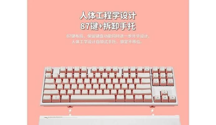 新手应该选择哪种键盘？键盘选购的入门建议是什么？  第3张
