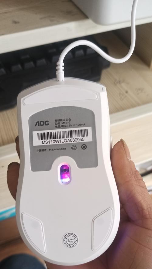 电脑鼠标的基本使用方法是什么？如何进行设置？  第1张